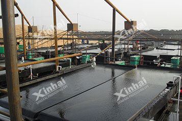Xinhai Fujian 2000 t/d Wolframite Project